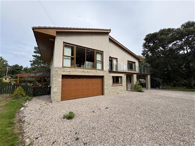 Picture 25